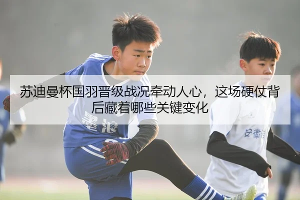 苏迪曼杯国羽晋级战况牵动人心，这场硬仗背后藏着哪些关键变化
